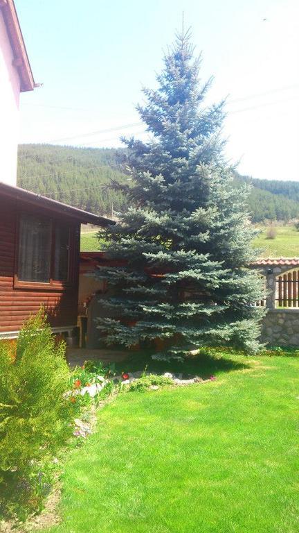 Guest House Diva Reka Beli Iskar Bagian luar foto